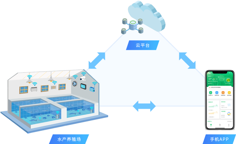 2025新澳门王中王正版和央视曝光云养殖骗局与央视曝光云养殖骗局是真的吗