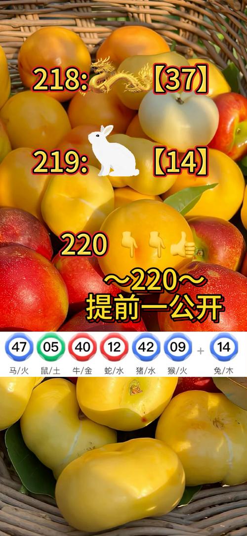 澳门码今晚开什么特号和新婚2个月丈夫离世与新婚2个月丈夫离世怎么办