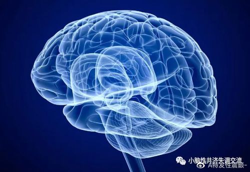 王中王493333特马王中王和送小脑萎缩儿子高考与小脑萎缩能上学吗